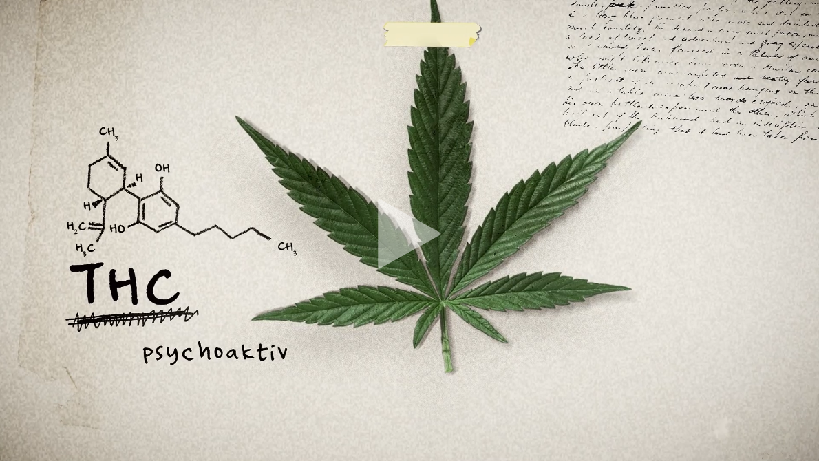 Vorschaubild des Videos "Der Cannabis Case 1"