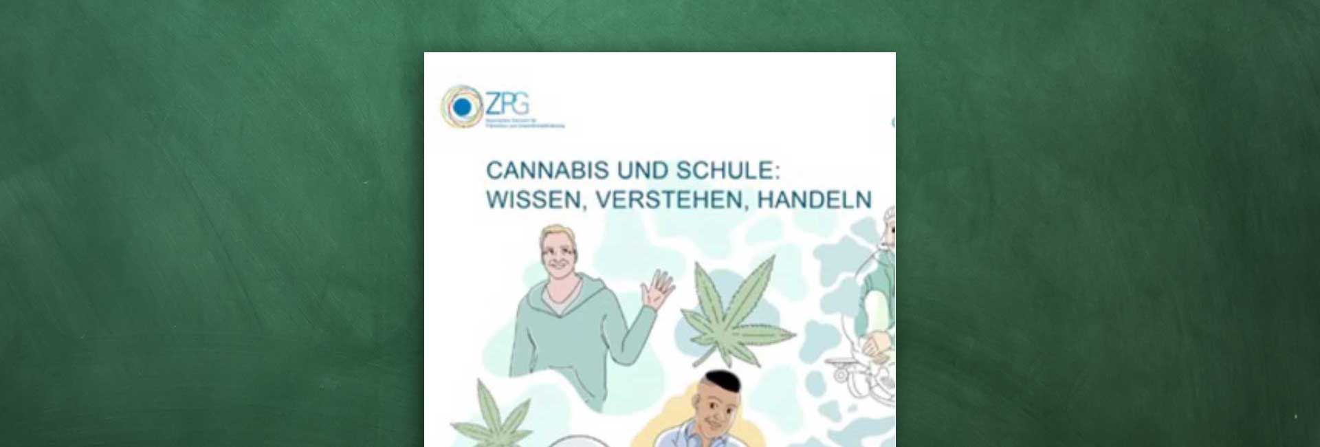 Eine Grafik für das Informationsangebot Cannabis und Schule